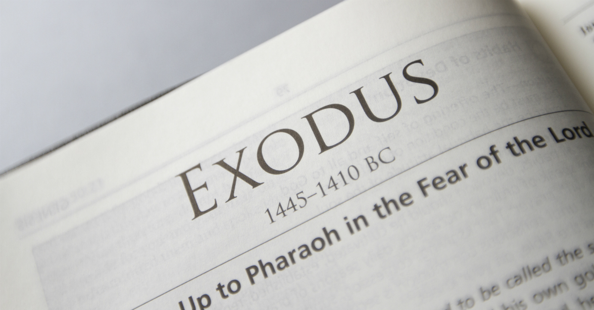 Exodus Chapters - ASV Bible