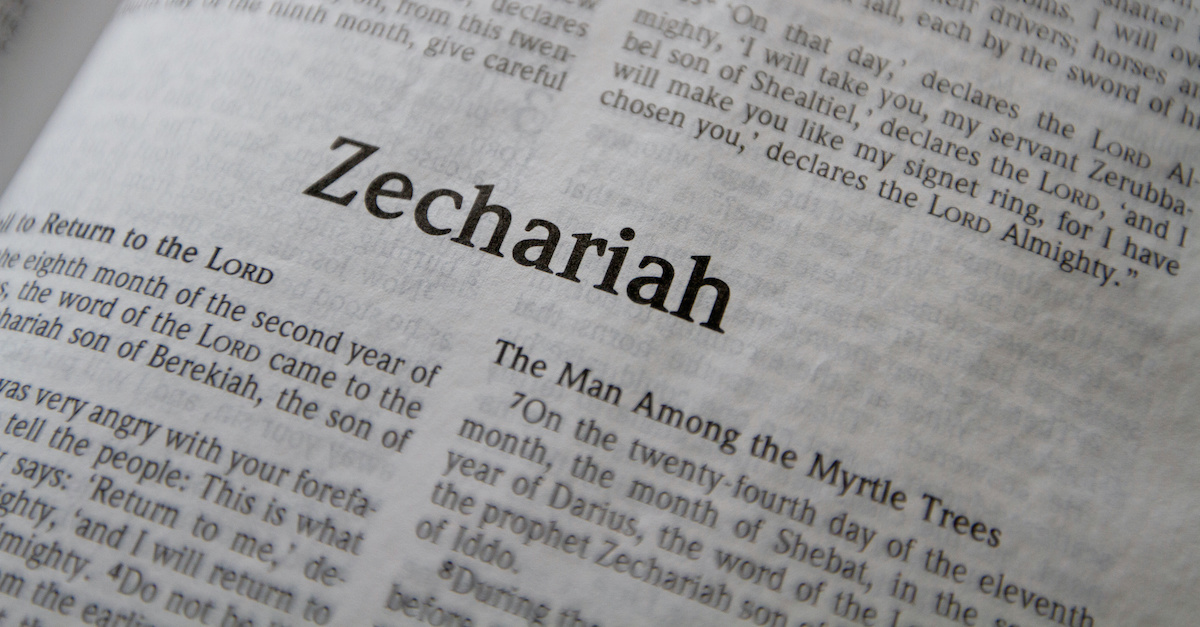 Zechariah Chapters - WEB Bible