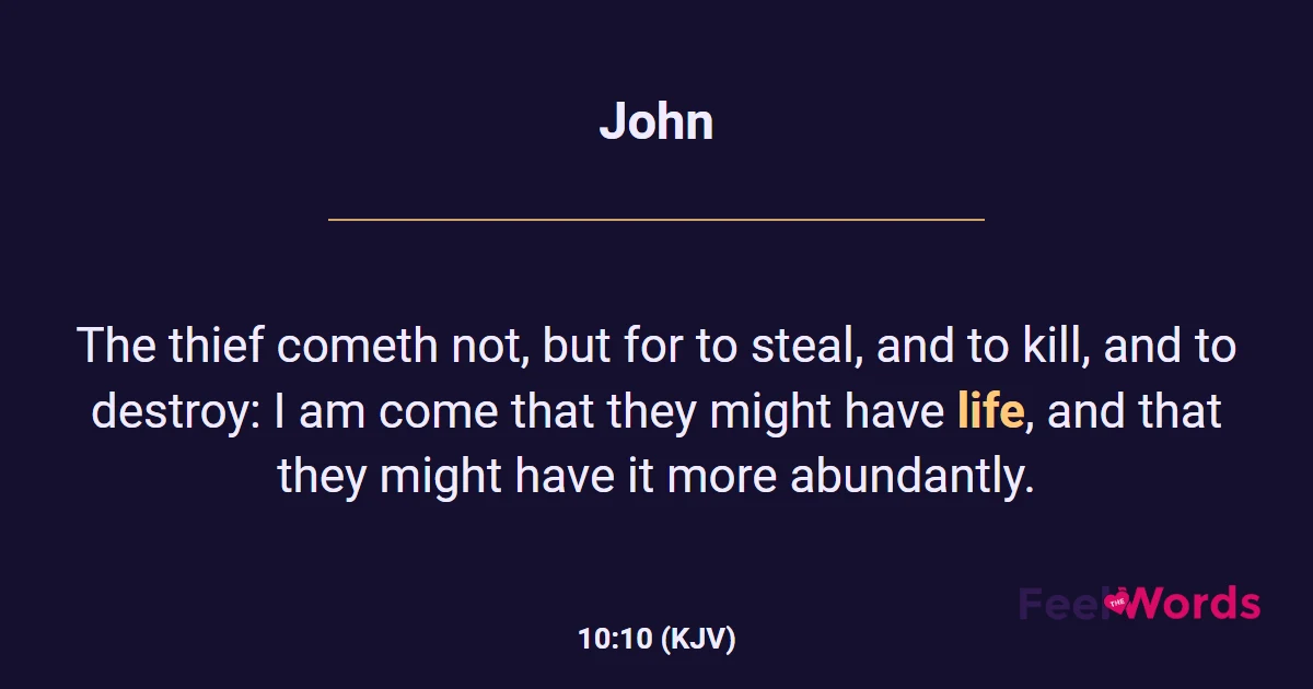 John 10:10