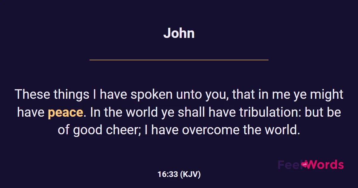 John 16:33