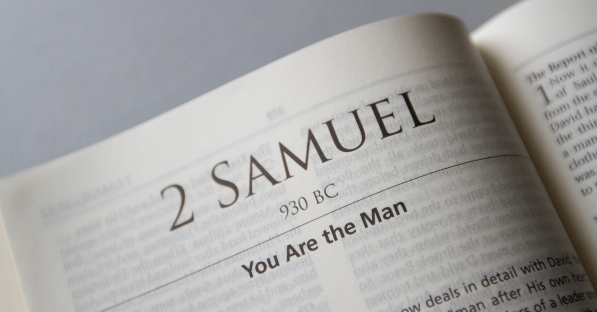 2 Samuel Chapter 14 (BBE) - Read Online