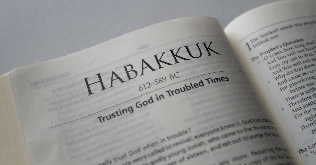 Habakkuk Chapters - YLT Bible