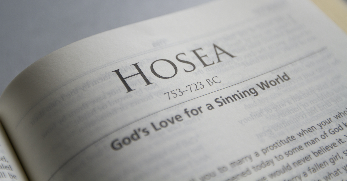 Hosea Chapter 7 (DRC)