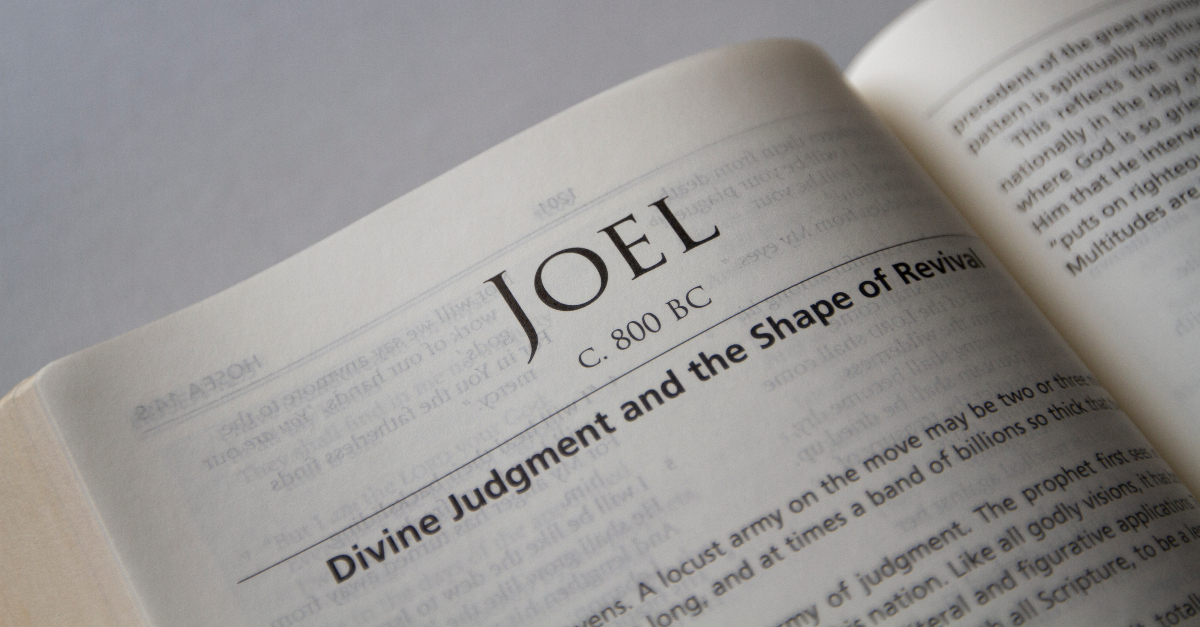 Joel Chapter 3 (DRC)