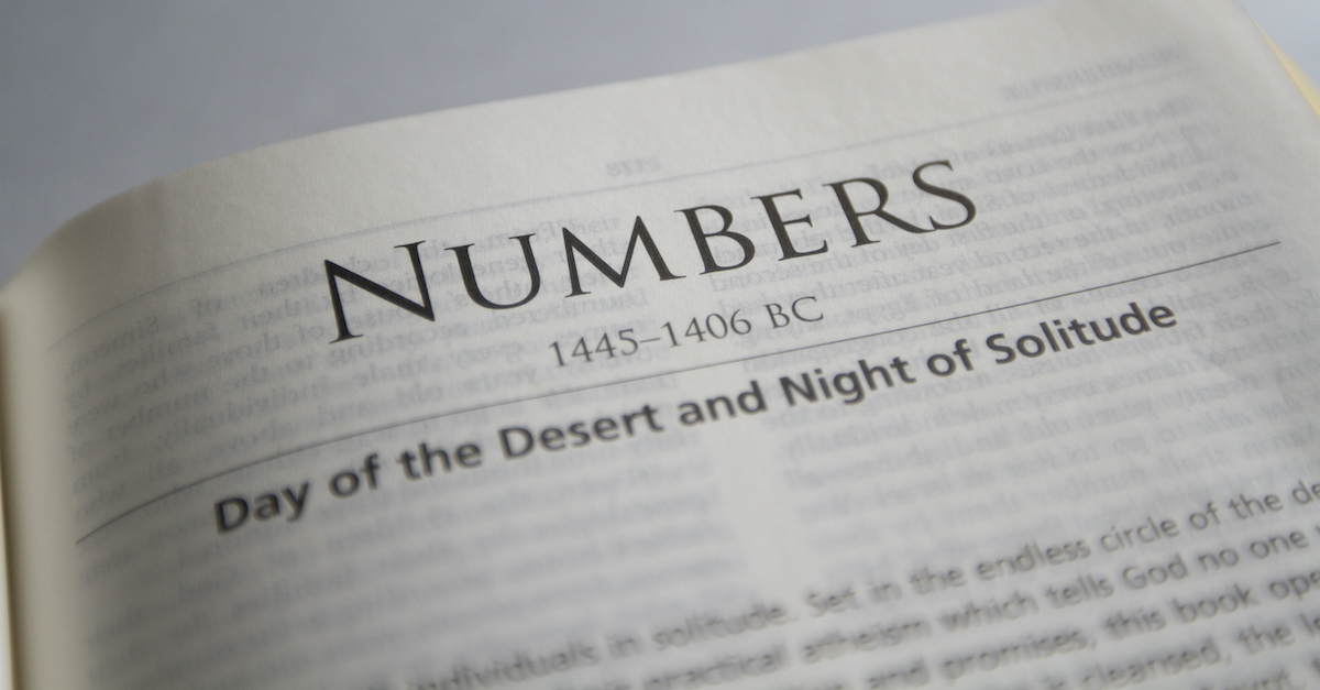 Numbers Chapter 11 (DRC)