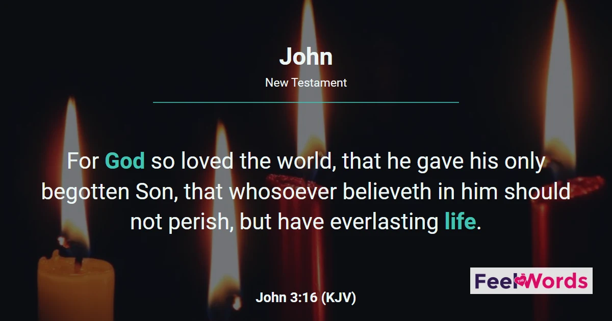 John Chapters - KJV Bible
