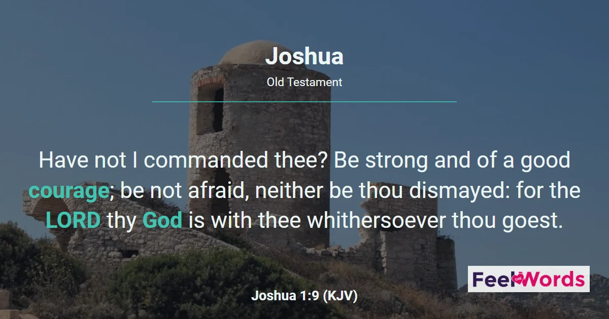 Joshua Chapters - KJV Bible