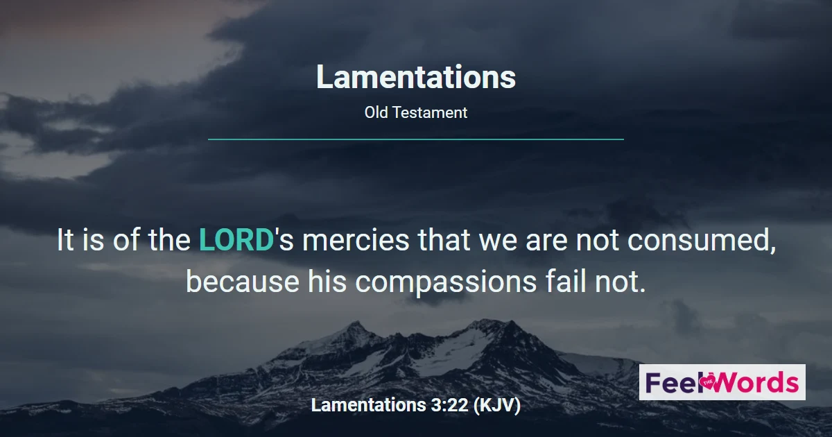 Lamentations Chapters - KJV Bible