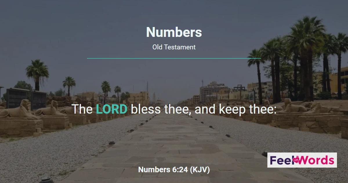 Numbers Chapters - KJV Bible