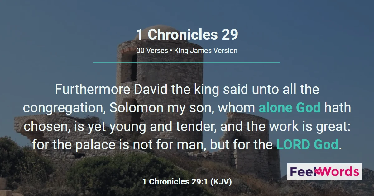1 Chronicles Chapter 29 (KJV)