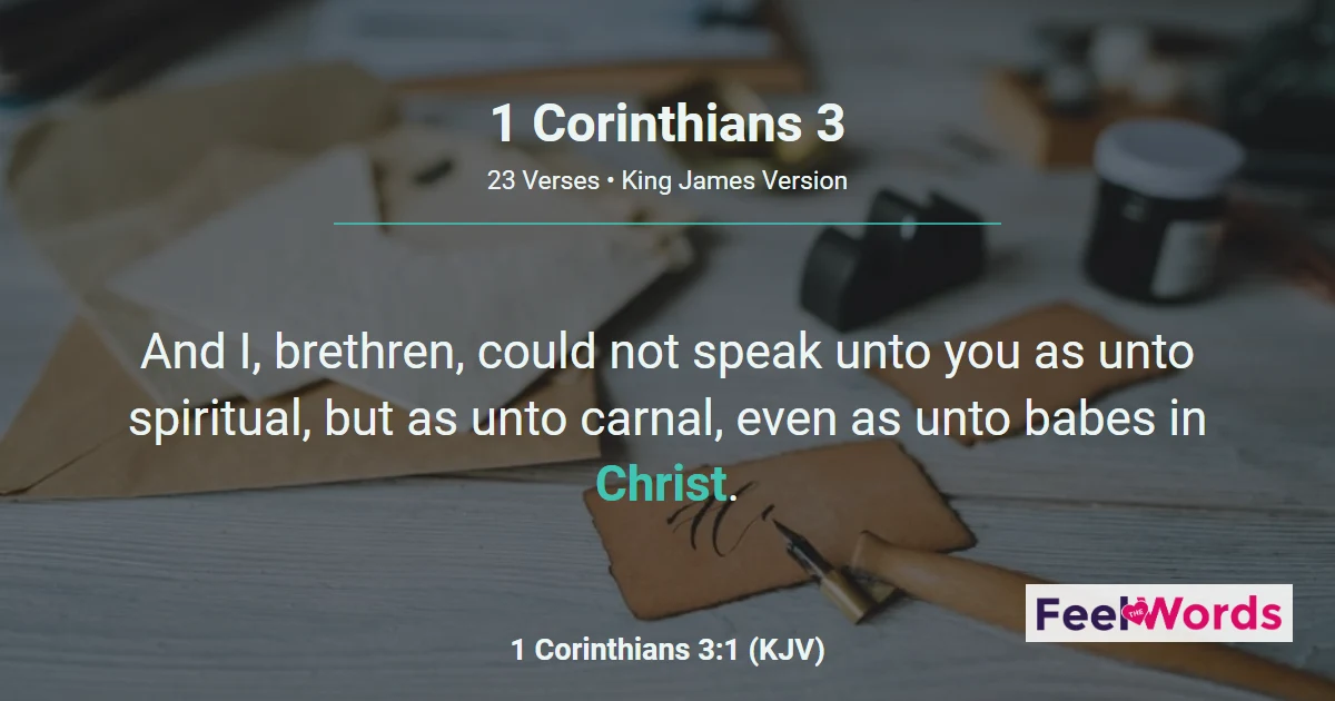 1 Corinthians Chapter 3 (KJV)