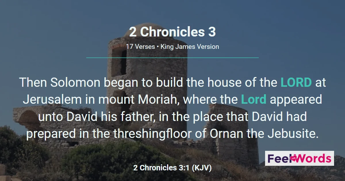 2 Chronicles Chapter 3 (KJV)