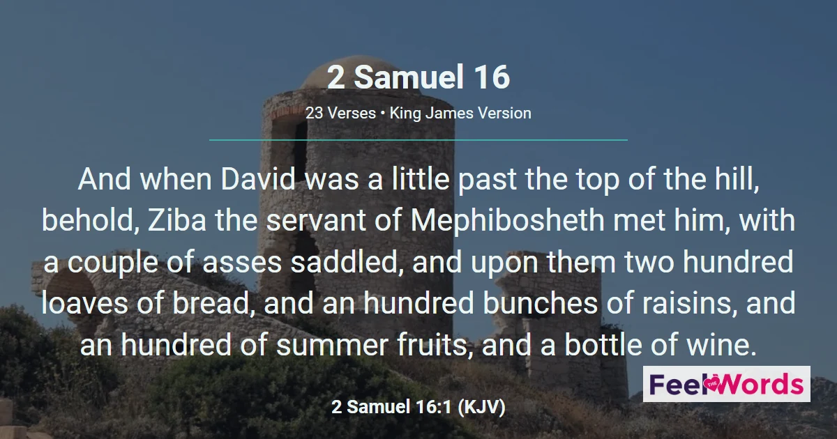 2 Samuel Chapter 16 (KJV)