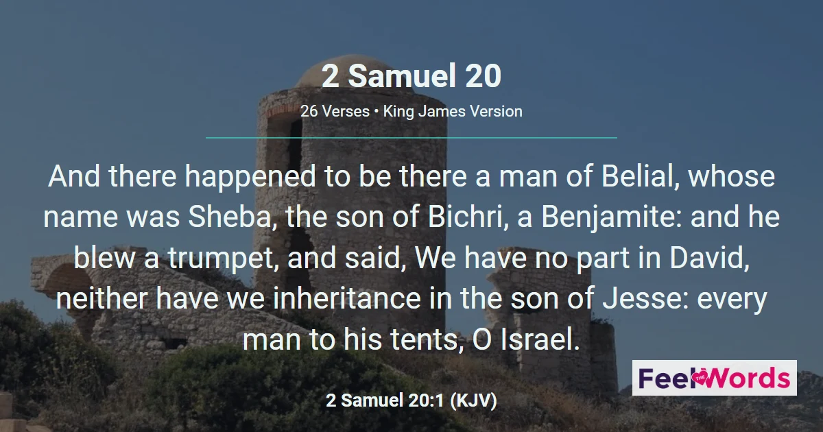 2 Samuel Chapter 20 (KJV)