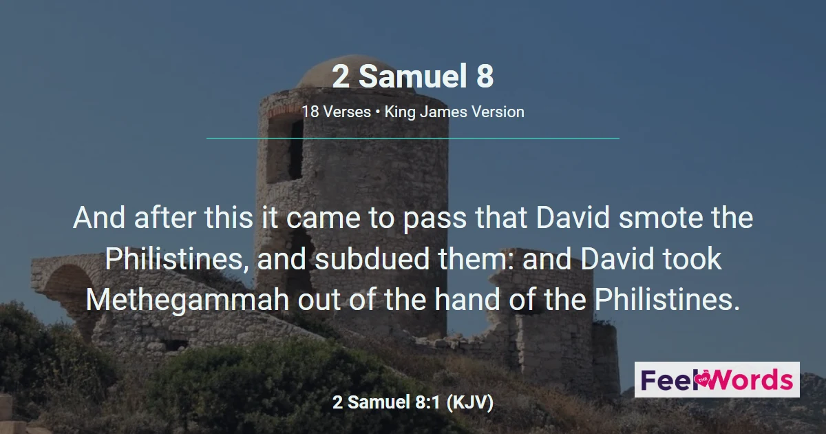 2 Samuel Chapter 8 (KJV)