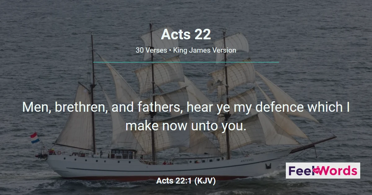 Acts Chapter 22 (KJV)