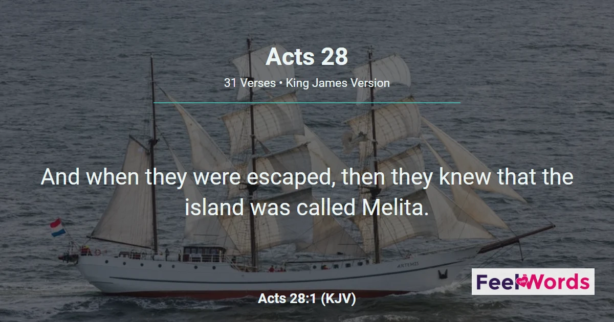 Acts Chapter 28 (KJV)