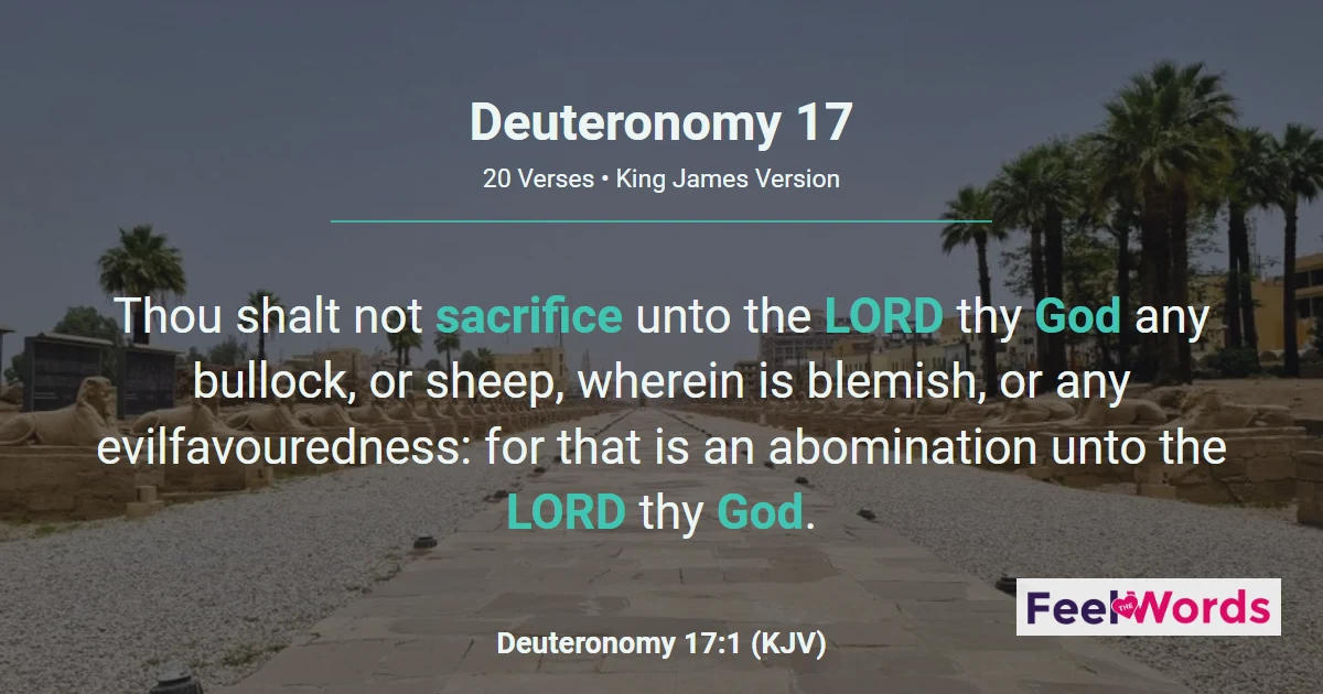 Deuteronomy Chapter 17 (KJV)