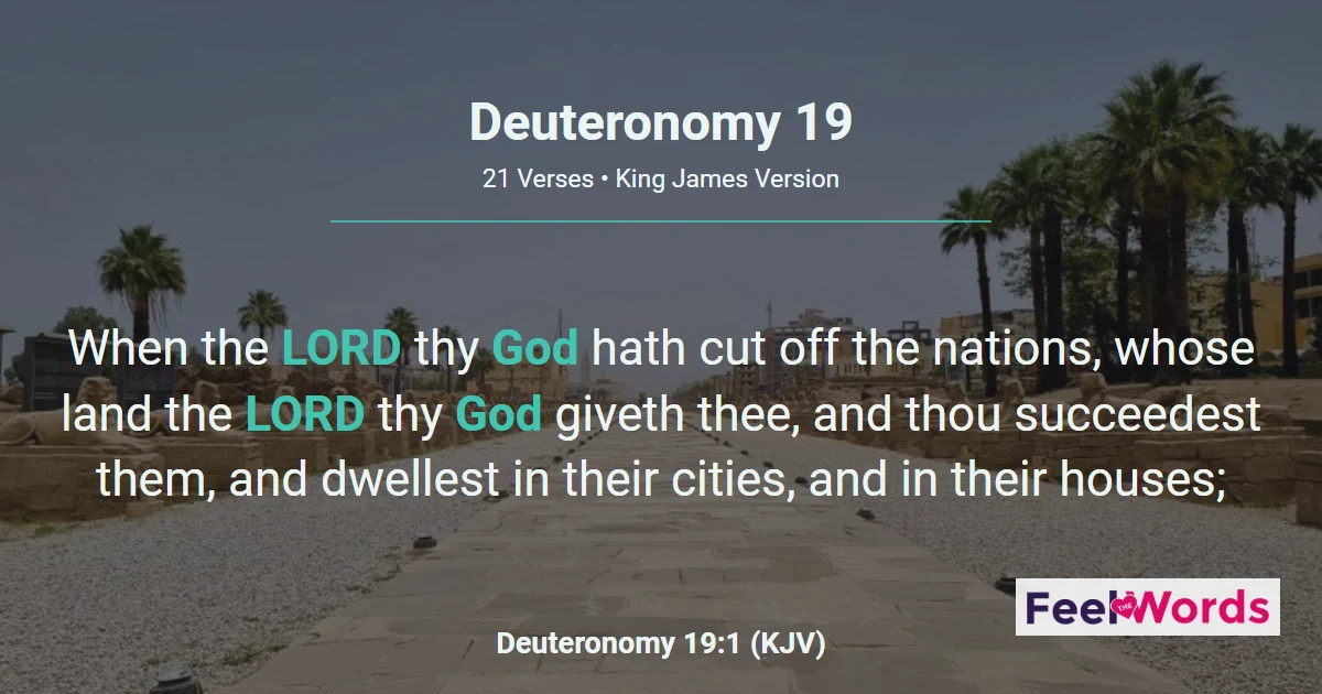 Deuteronomy Chapter 19 (KJV)