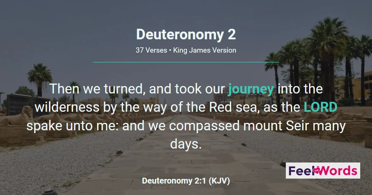 Deuteronomy Chapter 2 (KJV)