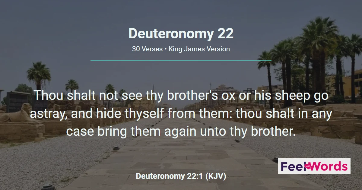 Deuteronomy Chapter 22 (KJV)
