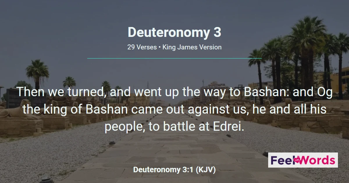 Deuteronomy Chapter 3 (KJV)