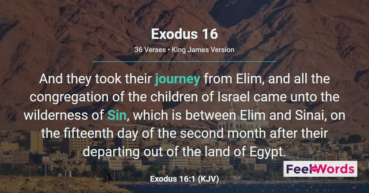 Exodus Chapter 16 (KJV)