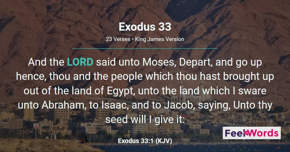 Exodus Chapter 33 (KJV)