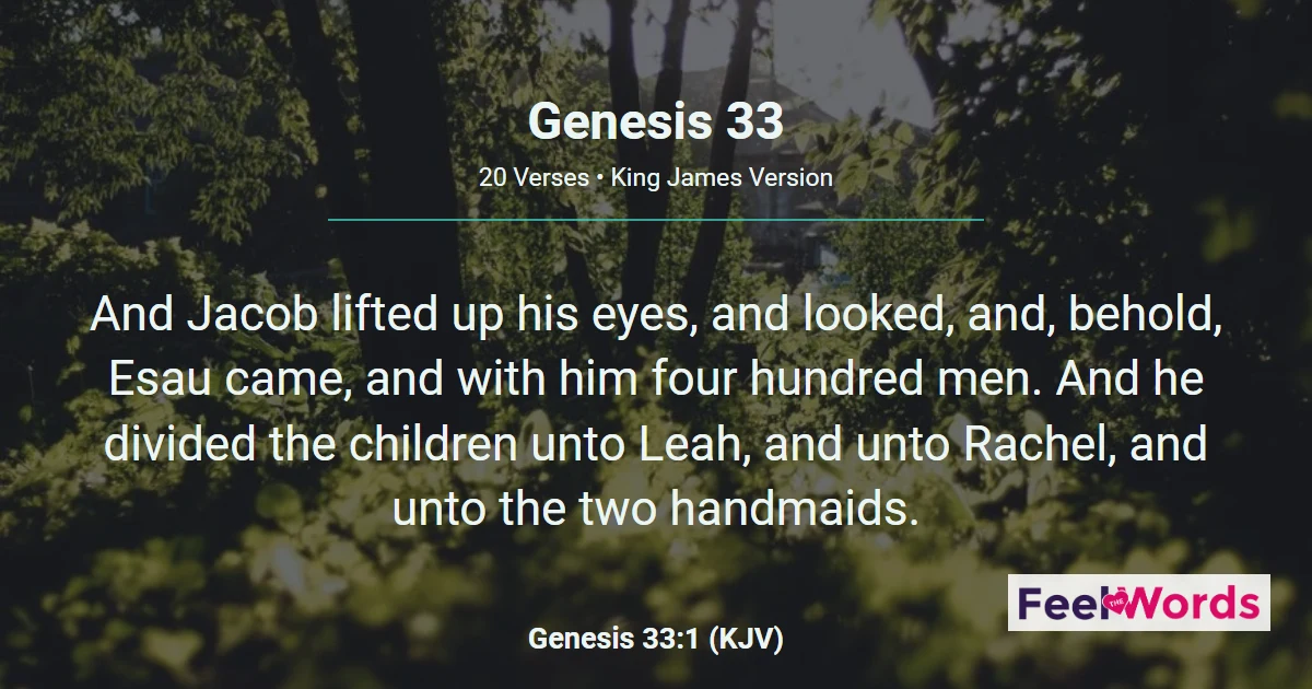 Genesis Chapter 33 (KJV)