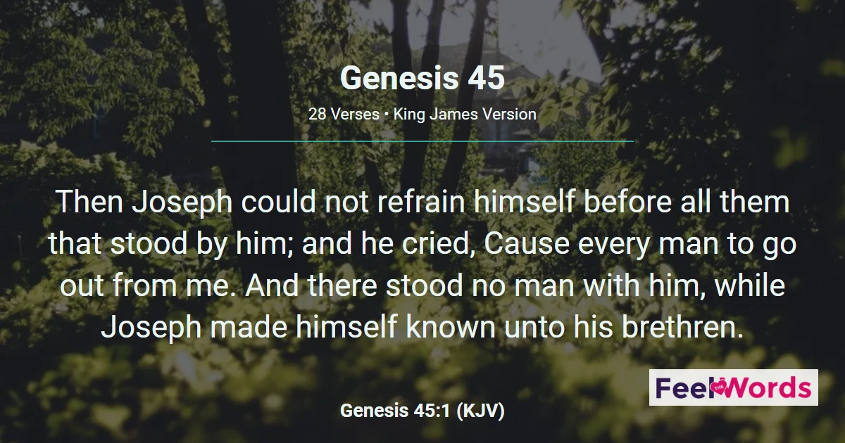 Genesis Chapter 45 (KJV)