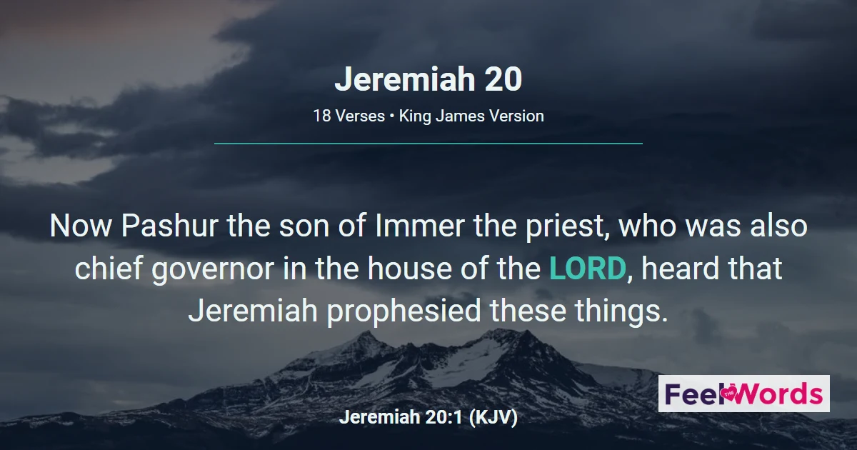 Jeremiah Chapter 20 (KJV)