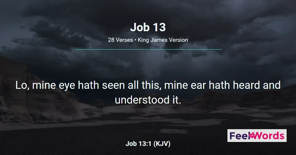 Job Chapter 13 (KJV)