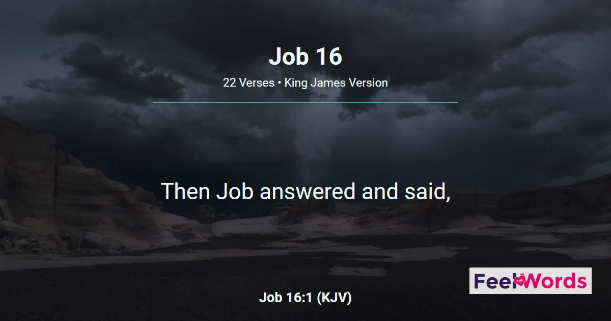 Job Chapter 16 (KJV)