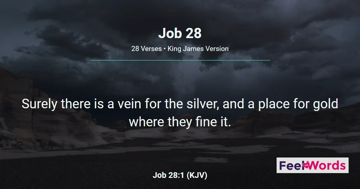 Job Chapter 28 (KJV)