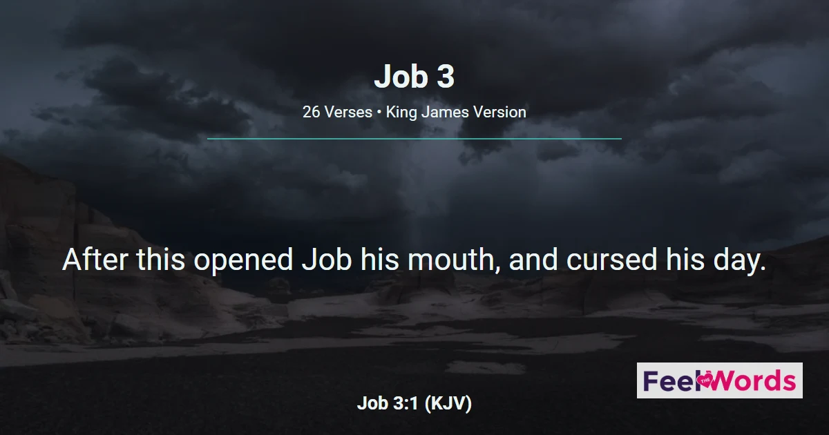Job Chapter 3 (KJV)