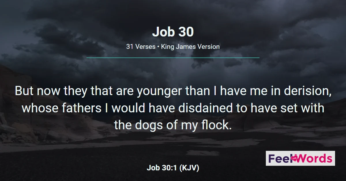 Job Chapter 30 (KJV)