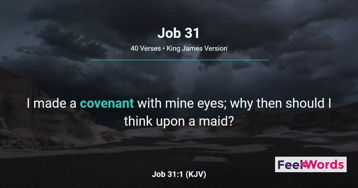 Job Chapter 31 (KJV)