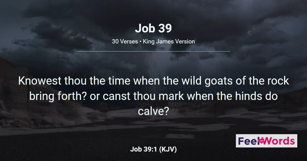 Job Chapter 39 (KJV)
