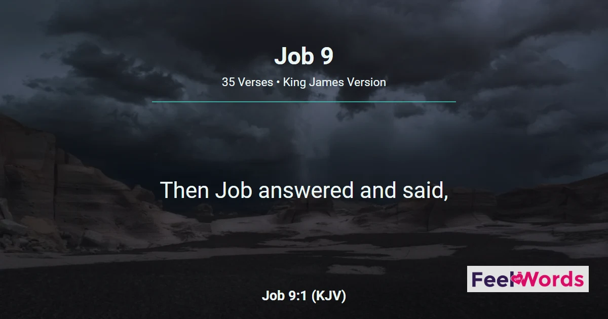 Job Chapter 9 (KJV)