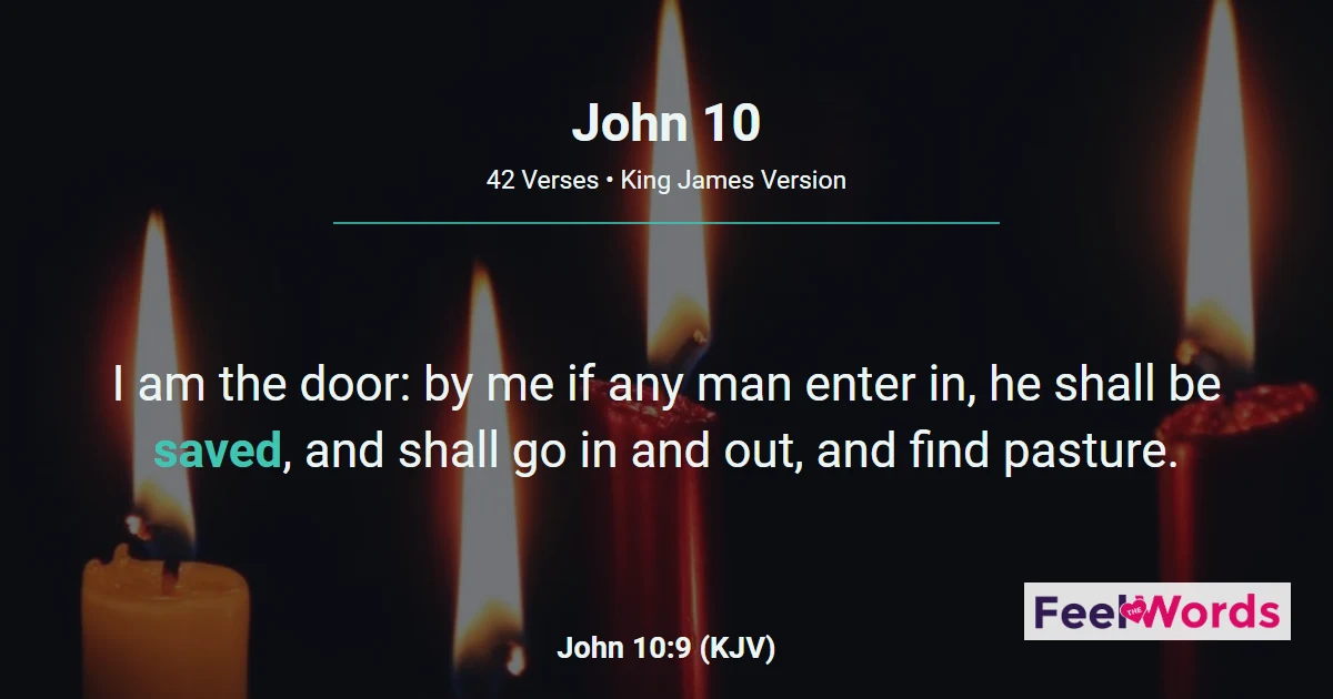 John Chapter 10 (KJV)