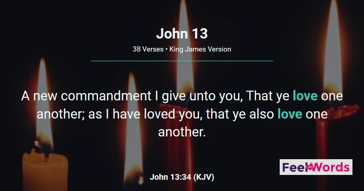 John Chapter 13 (KJV)