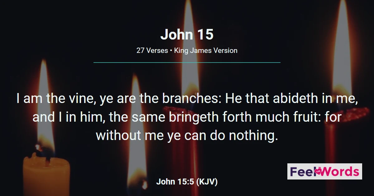 John Chapter 15 (KJV)