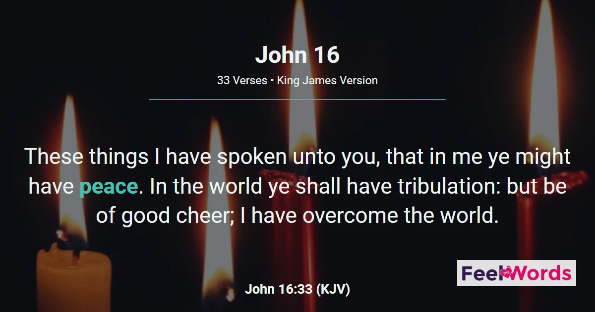John Chapter 16 (KJV)
