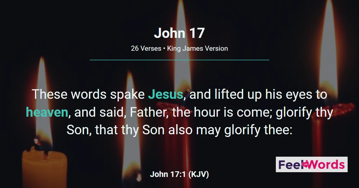 John Chapter 17 (KJV)