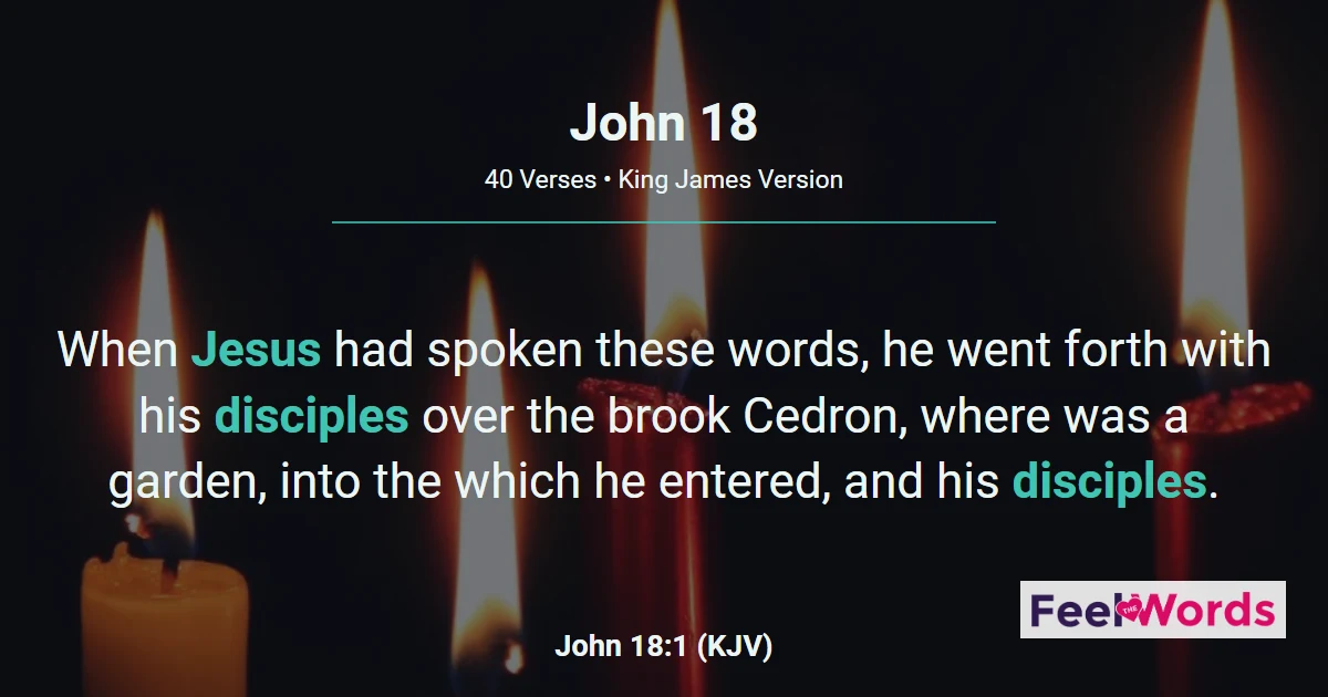 John Chapter 18 (KJV)