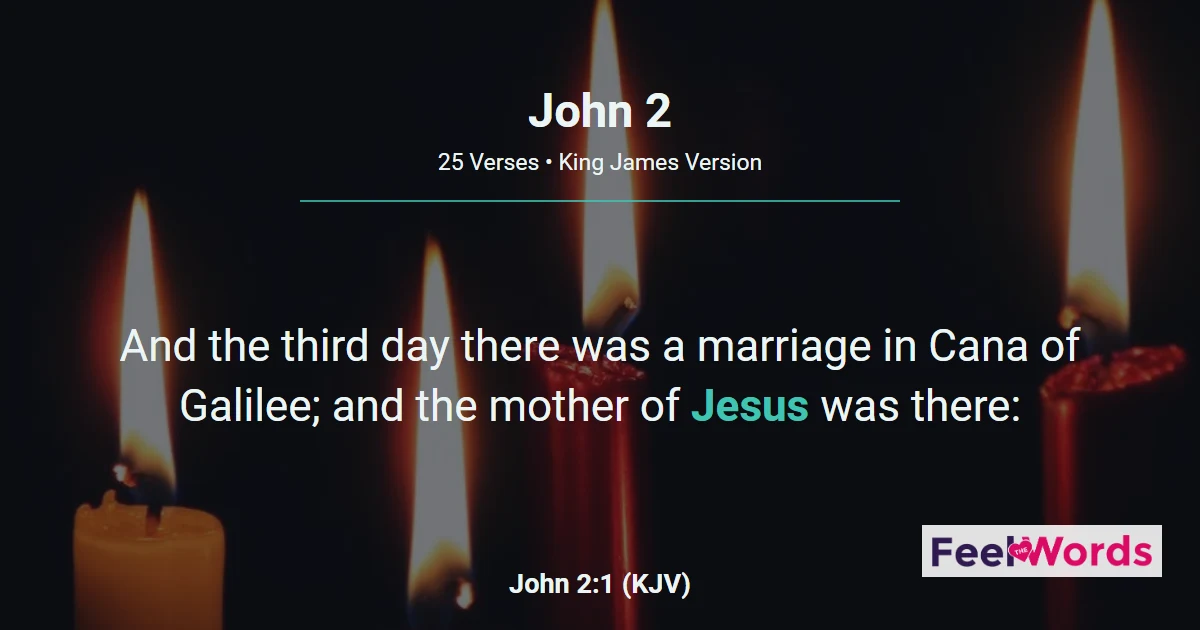 John Chapter 2 (KJV)