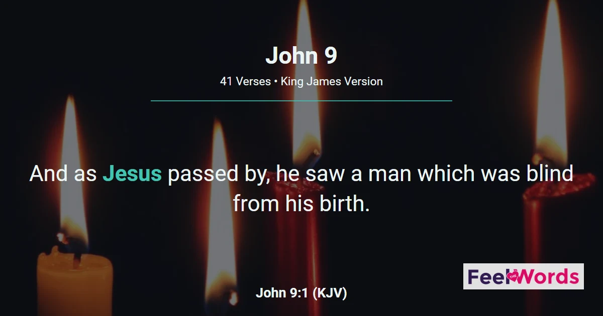 John Chapter 9 (KJV)