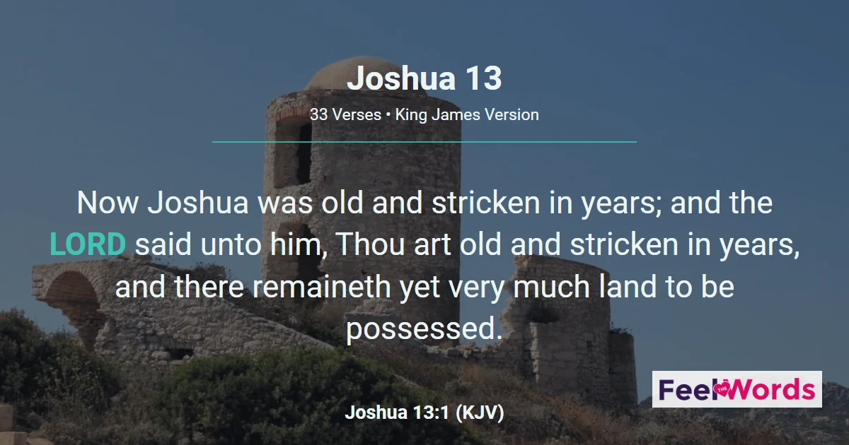Joshua Chapter 13 (KJV)