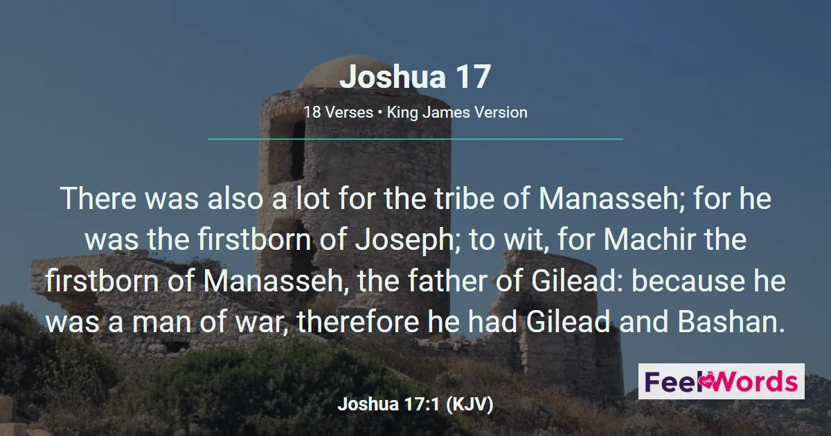 Joshua Chapter 17 (KJV)