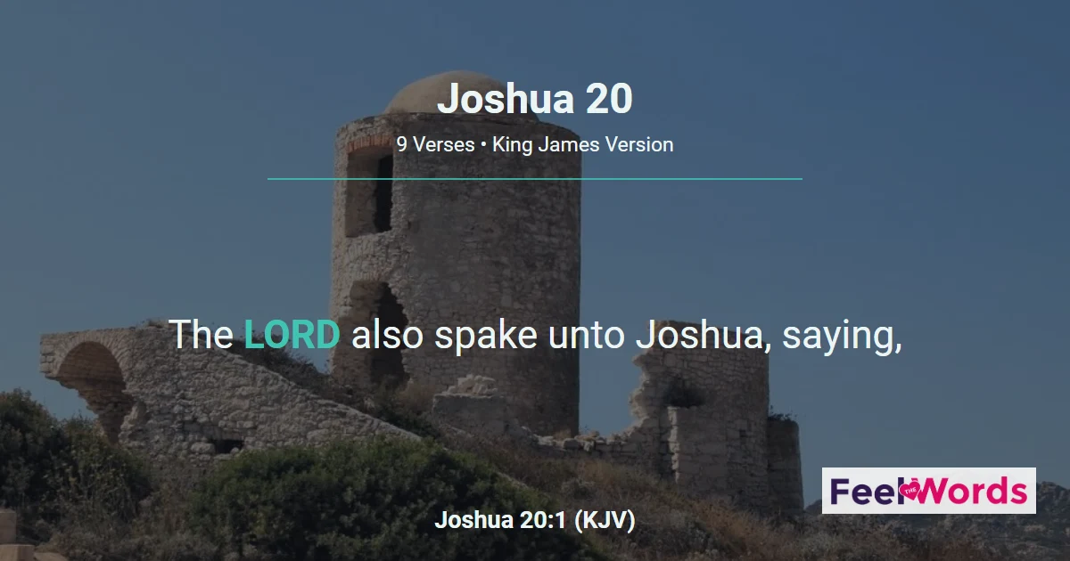 Joshua Chapter 20 (KJV)